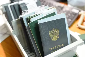 Трудовая книжка &copy;&nbsp;Фото Елены Синеок, Юга.ру