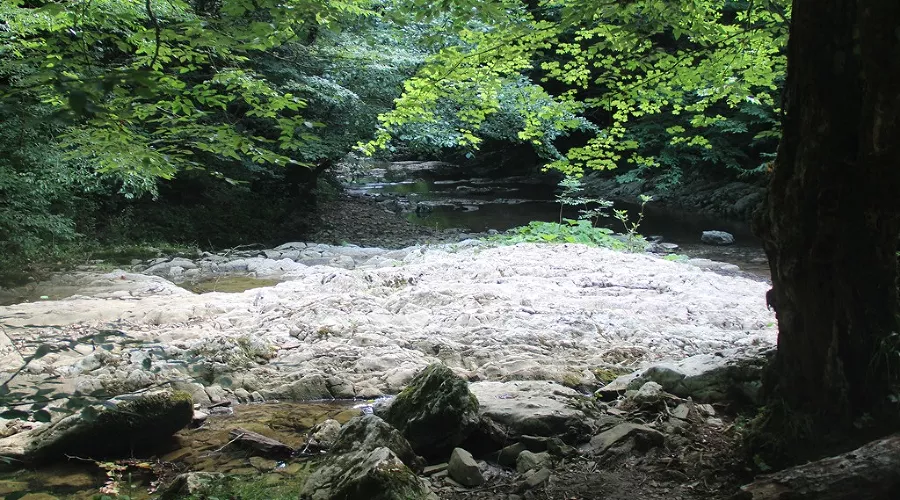  &copy;&nbsp;Фото пресс-службы ЮРПСО МЧС России