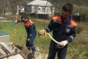  &copy;&nbsp;Фото пресс-службы &laquo;Кубань-СПАС&raquo;