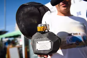 Фестиваль серф-культуры Locals Only в Сочи &copy;&nbsp;Фото Елены Синеок, Юга.ру