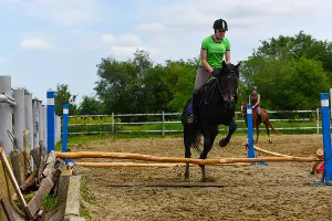  &copy;&nbsp;Фото Елены Синеок, Юга.ру