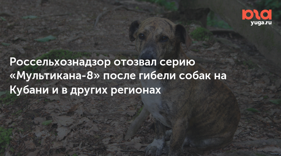 Россельхознадзор отозвал серию «Мультикана-8» после гибели собак на Кубани и в других регионах 