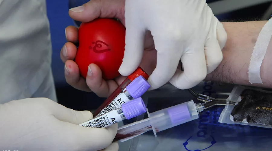  &copy;&nbsp;Фото Елены Синеок, Юга.ру