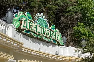 Дендрарий в Сочи &copy;&nbsp;Фото Влады Мандрыка, Юга.ру