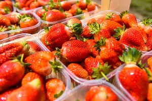 Клубника &copy;&nbsp;Фото Елены Синеок, Юга.ру