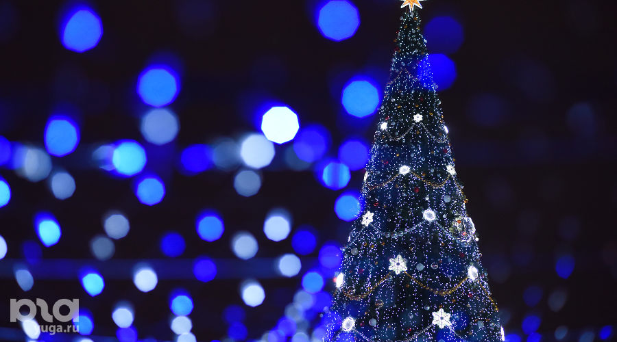  © Фото Елены Синеок, Юга.ру