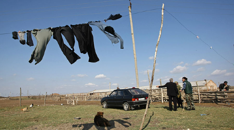 В Чечне начали разводить верблюдов  © Влад Александров. ЮГА.ру