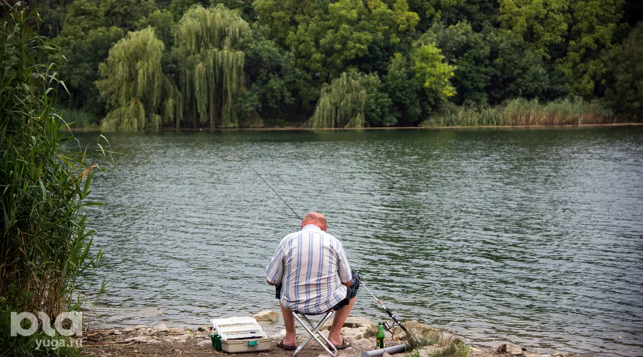  &copy;&nbsp;Фото Елены Синеок, Юга.ру