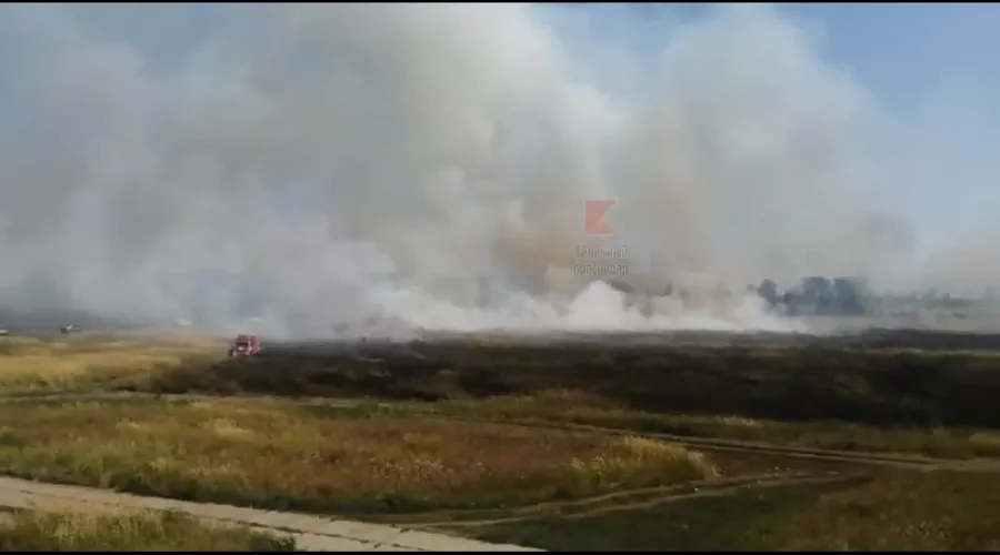  &copy;&nbsp;Скриншот из видео паблика &laquo;Типичный Краснодар&raquo;, https://vk.com/typical_krd