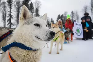 Тест-драйв SKODA Yeti в Красной Поляне &copy;&nbsp;Фото Елены Синеок, Юга.ру