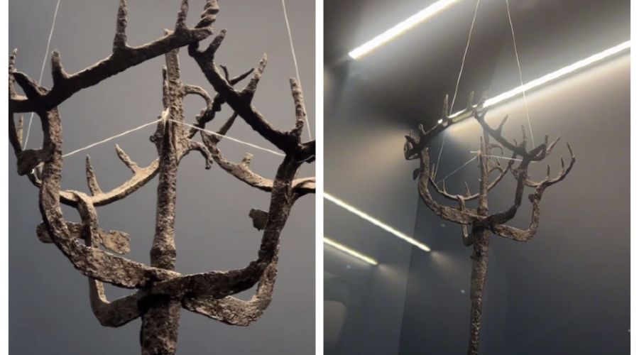  © Скриншот из телеграм-канала краснодарского музея имени Фелицына