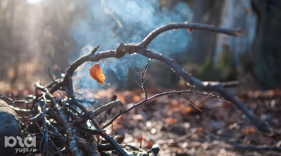  &copy;&nbsp;Елена Синеок, ЮГА.ру