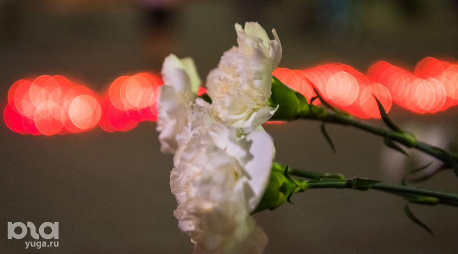  © Фото Елены Синеок, Юга.ру