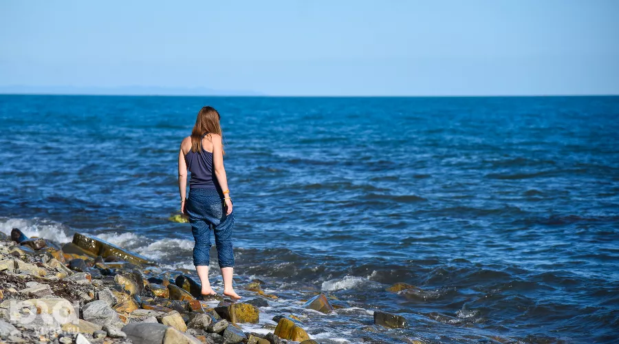 Море &copy;&nbsp;Фото Елены Синеок, Юга.ру