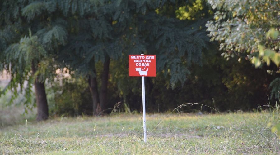  © Фото пресс-службы администрации Сочи