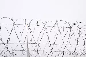  &copy;&nbsp;Фото Елены Синеок, Юга.ру