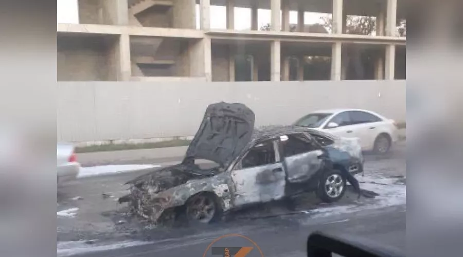  &copy;&nbsp;Фото из телеграм-канала &laquo;Телетайп Краснодара&raquo;, tmtr.me/tipichkras