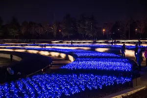 Парк «Краснодар»  с новогодней подсветкой &copy;&nbsp;Фото Елены Синеок, Юга.ру