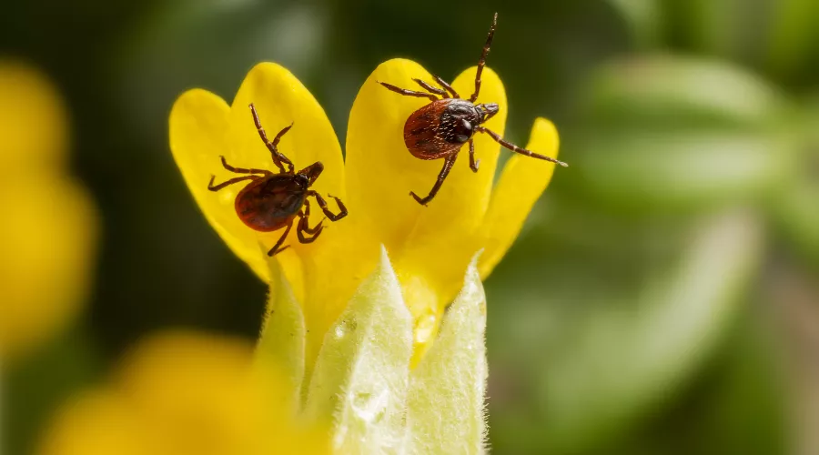  &copy;&nbsp;Фото пользователя erik-karits-2093459 с сайта freepik.com