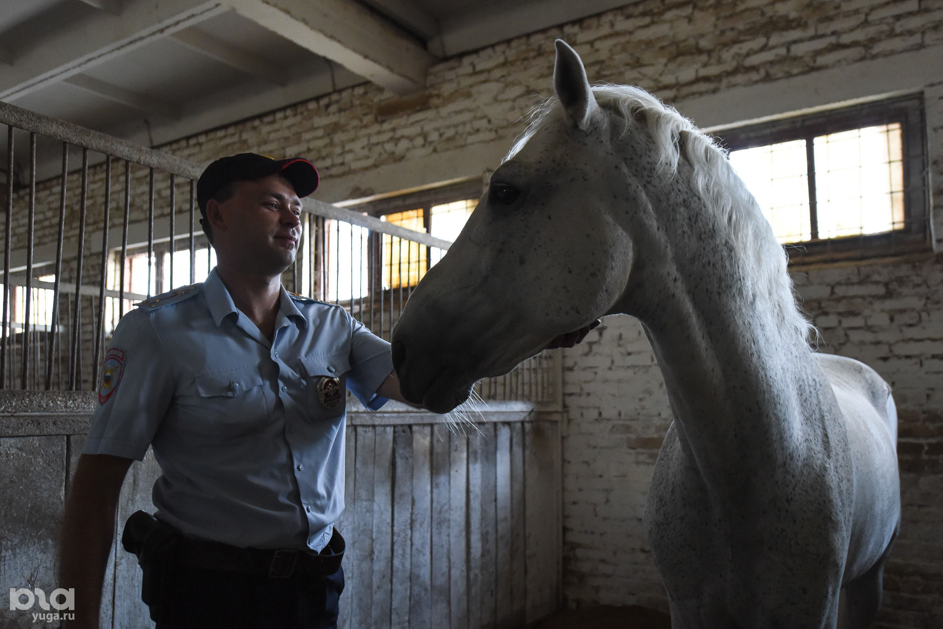 Кск гасконь краснодар. Конный клуб русь. Кск гасконь краснодар. Денник для лошади. Конюшни в краснодаре.