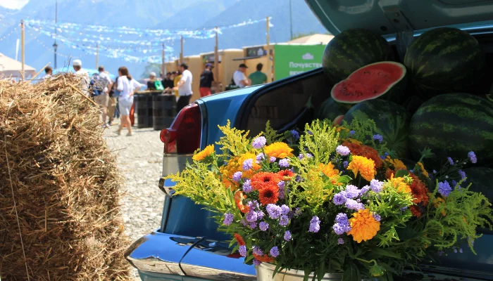 Гастрофест на «Роза Хутор» &copy;&nbsp;Фото Марины Солошко, Юга.ру