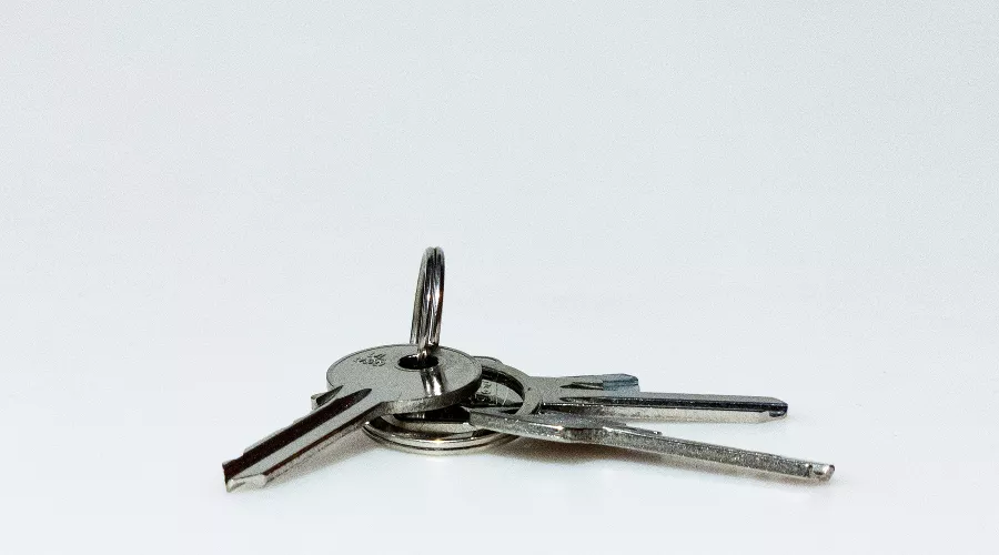  &copy;&nbsp;Фото Jozsef Hocza, Unsplash.com