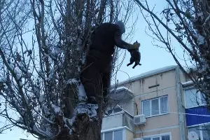  &copy;&nbsp;Фото из инстаграма ЕДДС Новопокровской, instagram.com/edds_novopokrovskaya