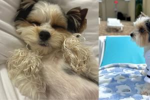  &copy;&nbsp;Фотографии Юга.ру предоставила Диана Пестова