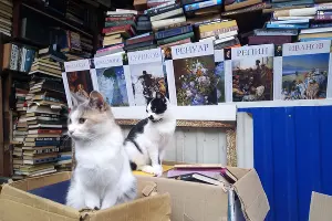  &copy;&nbsp;Фото Станислава Бандурки, Юга.ру