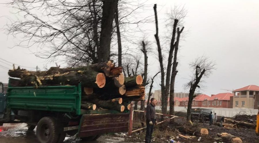  © Фото со страницы «Помоги городу» в фейсбуке, facebook.com/groups/helpcity