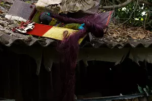 Тереза Таффнер, &laquo;Болотное наследие&raquo;, 2023 &copy;&nbsp;Фото Ангелины Венмер