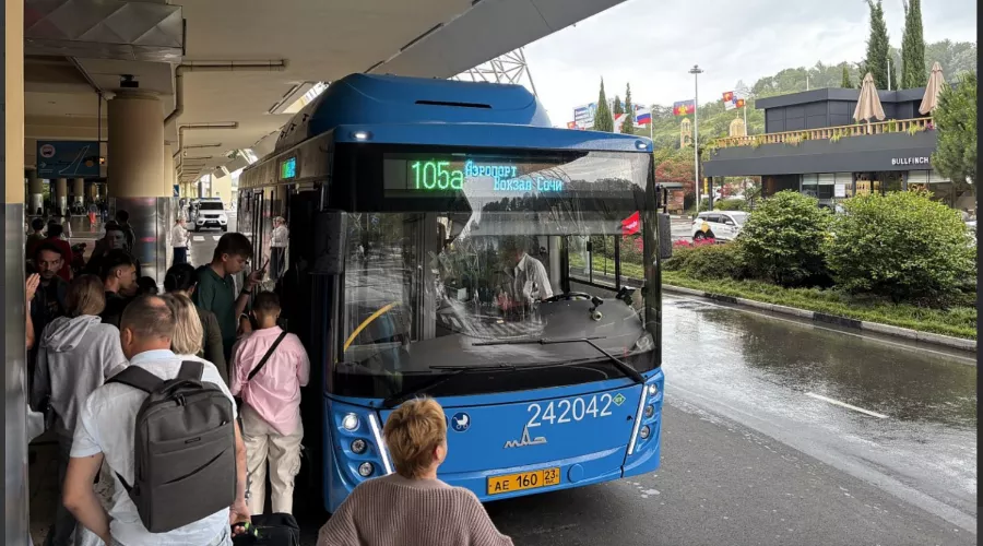  &copy;&nbsp;Скриншот из телеграм-канала мэрии Сочи https://t.me/officialsochi/53385