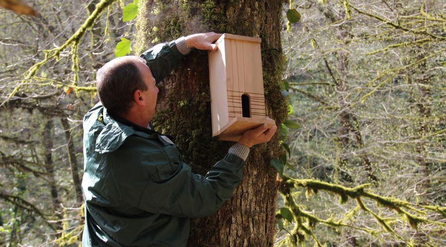  © Фото пресс-службы Сочинского нацпарка