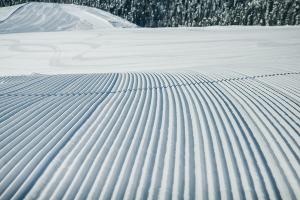  © Фото пресс-службы «Розы Хутор»