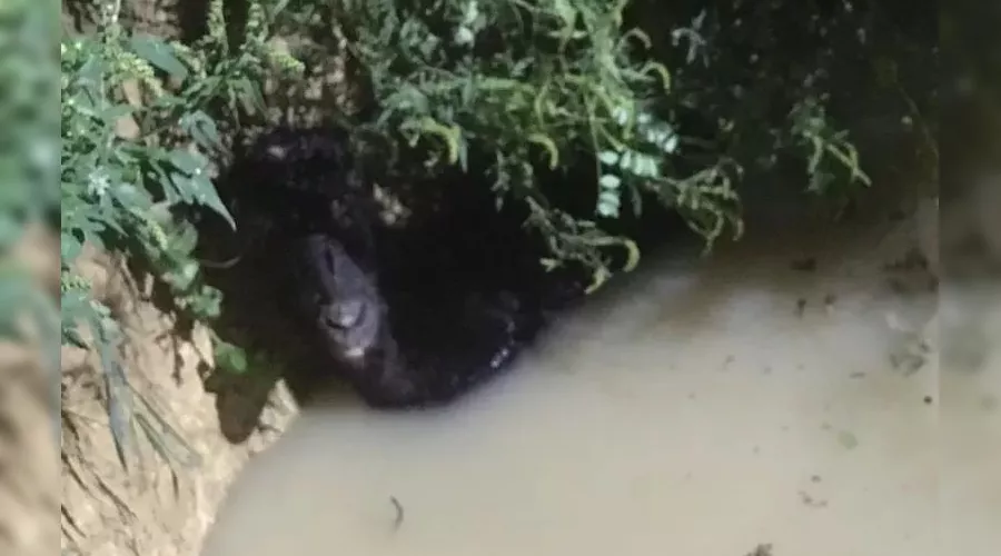  &copy;&nbsp;Фото из инстаграма Алексея Одерова, instagram.com/alekseioderov