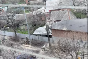  &copy;&nbsp;Скриншот из чата &laquo;МЦУ Краснодар&raquo; https://t.me/c/1629949599/140262