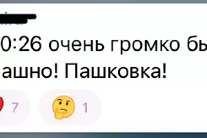  &copy;&nbsp;Скриншот из телеграм-канала t.me/tipichkras