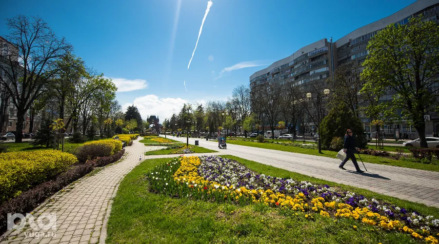  &copy;&nbsp;Фото Елены Синеок, Юга.ру