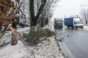  &copy;&nbsp;Фото Дмитрия Пославского, Юга.ру