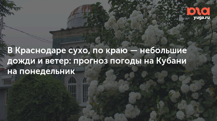 В Краснодаре сухо, по краю — небольшие дожди и ветер: прогноз погоды на Кубани на понедельник
