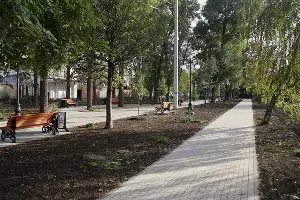  &copy;&nbsp;Фото пресс-службы администрации Краснодара