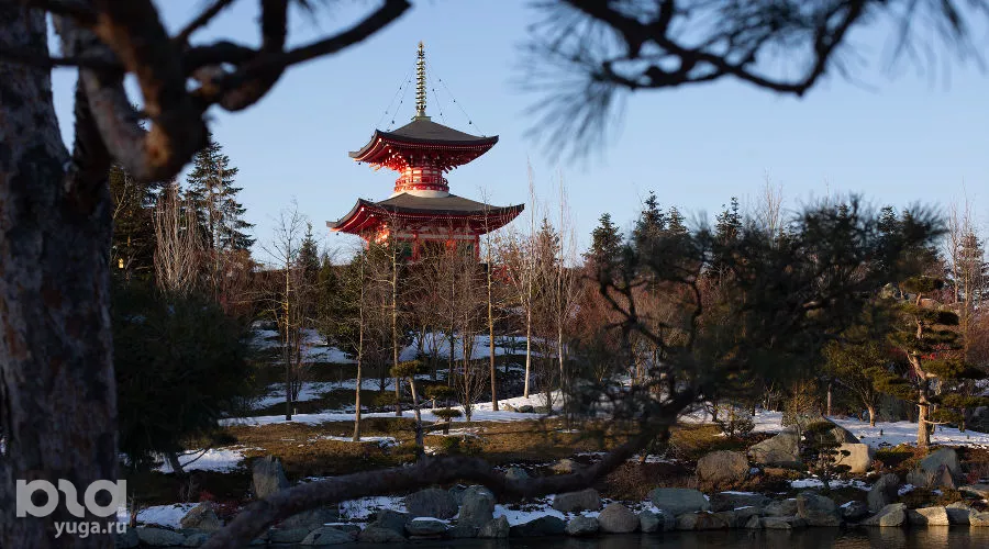  &copy;&nbsp;Фото Марии Журавлевой, Юга.ру