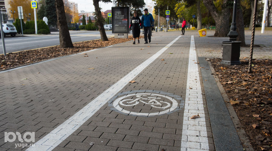  © Фото Елены Синеок, Юга.ру