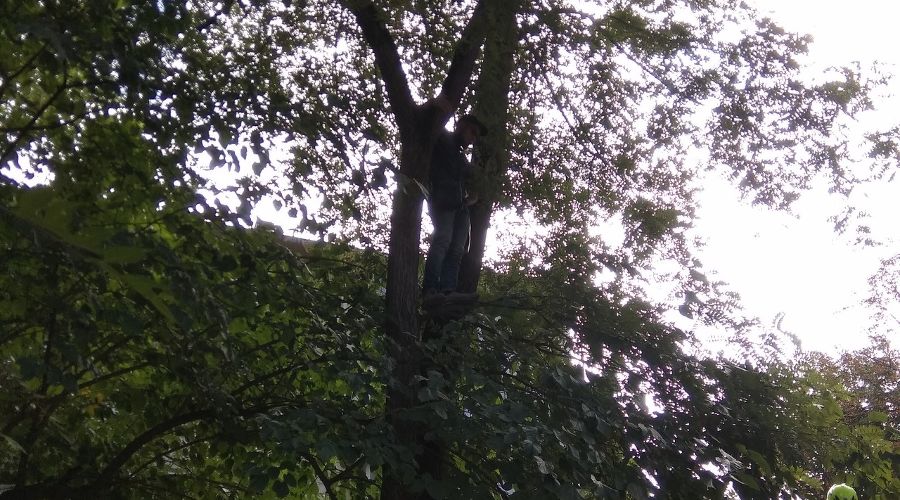  © Фото пресс-службы ГКУ РК «Крым-СПАС»