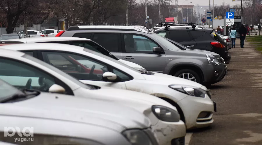  &copy;&nbsp;Фото Елены Синеок, Юга.ру