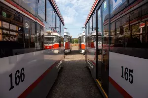 В Краснодаре вышли на маршрут новые трамваи &copy;&nbsp;Фото Дмитрия Пославского, Юга.ру