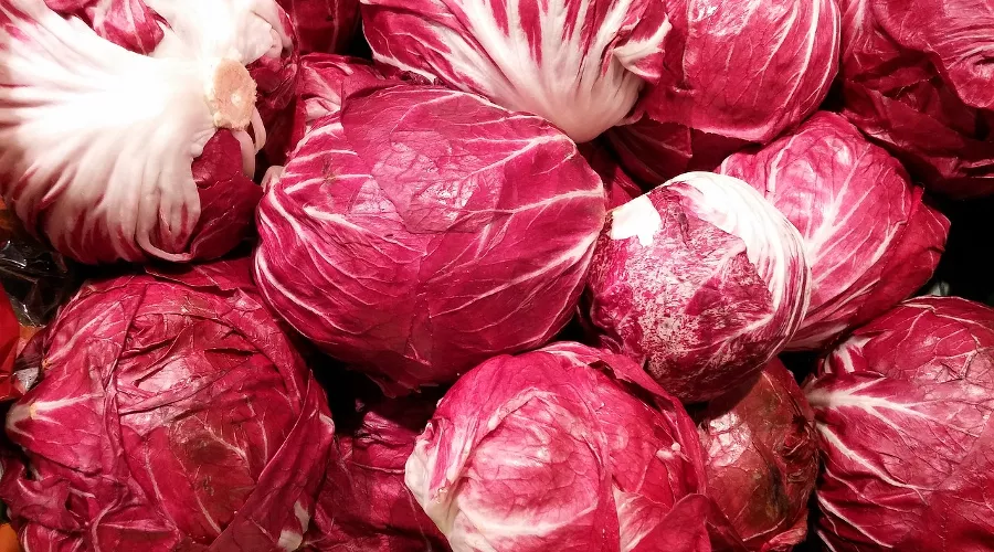 Cалат сорта «радиккьо» &copy;&nbsp;Фото с сайта pixabay.com