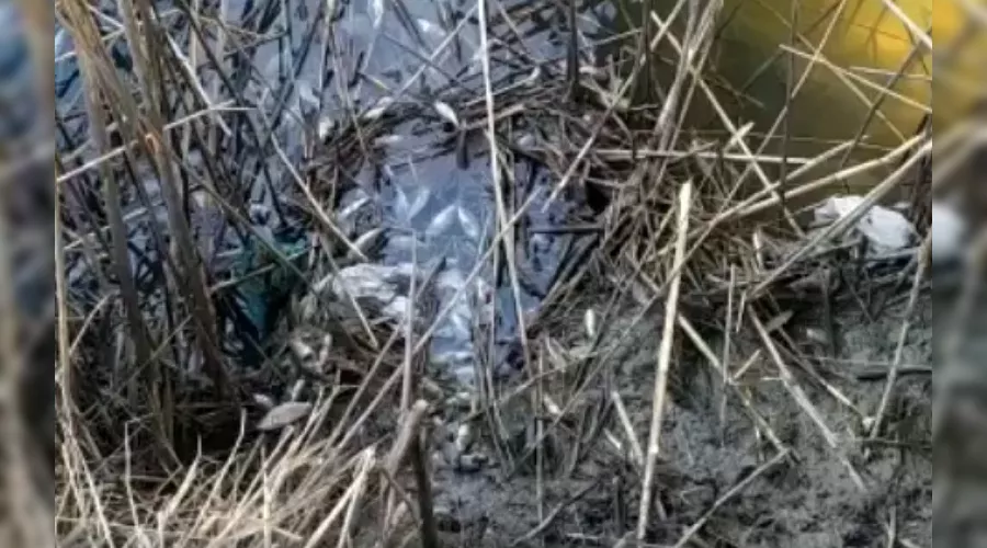  &copy;&nbsp;Скриншот с видео пресс-службы администрации Красноармейского района