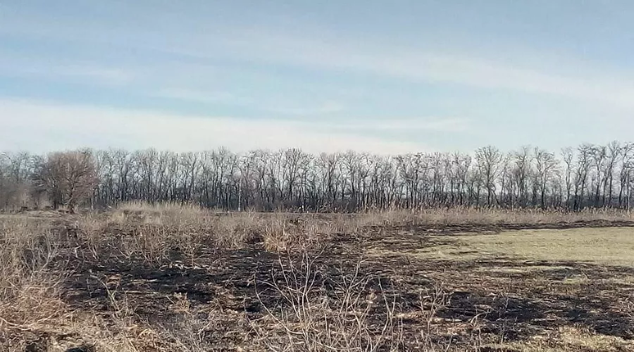  &copy;&nbsp;Фото Юга.ру