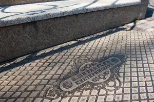  &copy;&nbsp;Фото Елены Синеок, Юга.ру